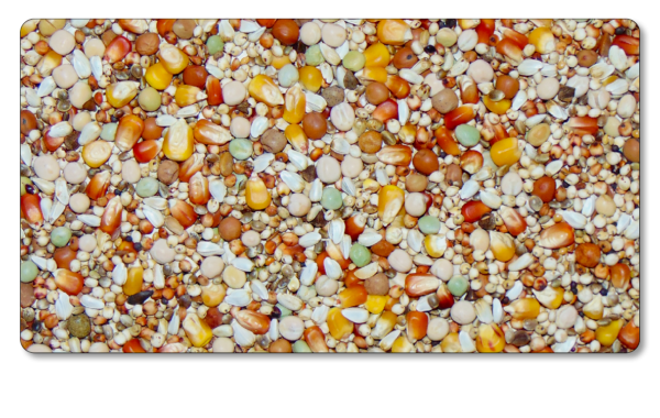 Mélange pour pigeons : Premium Elevage sans Blé (25kg)